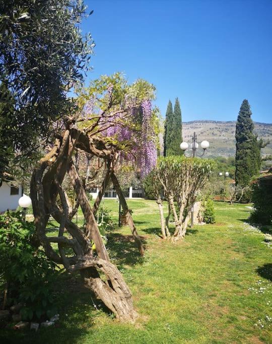 Villetta Blue Garden Sonnino Exterior foto
