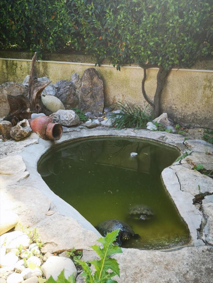 Villetta Blue Garden Sonnino Exterior foto