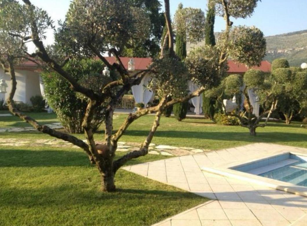 Villetta Blue Garden Sonnino Exterior foto