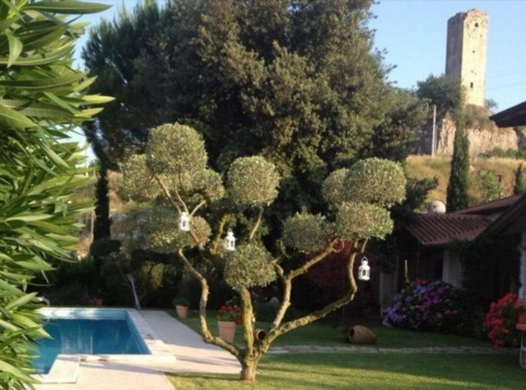Villetta Blue Garden Sonnino Exterior foto